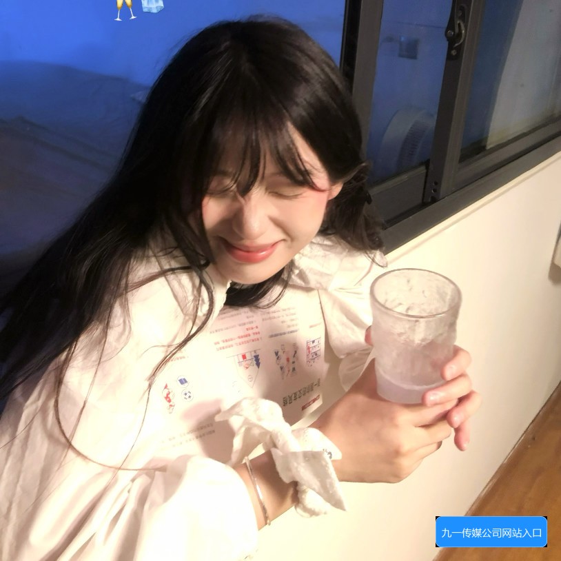 九一传媒公司网站入口怎么访问及相关使用指南