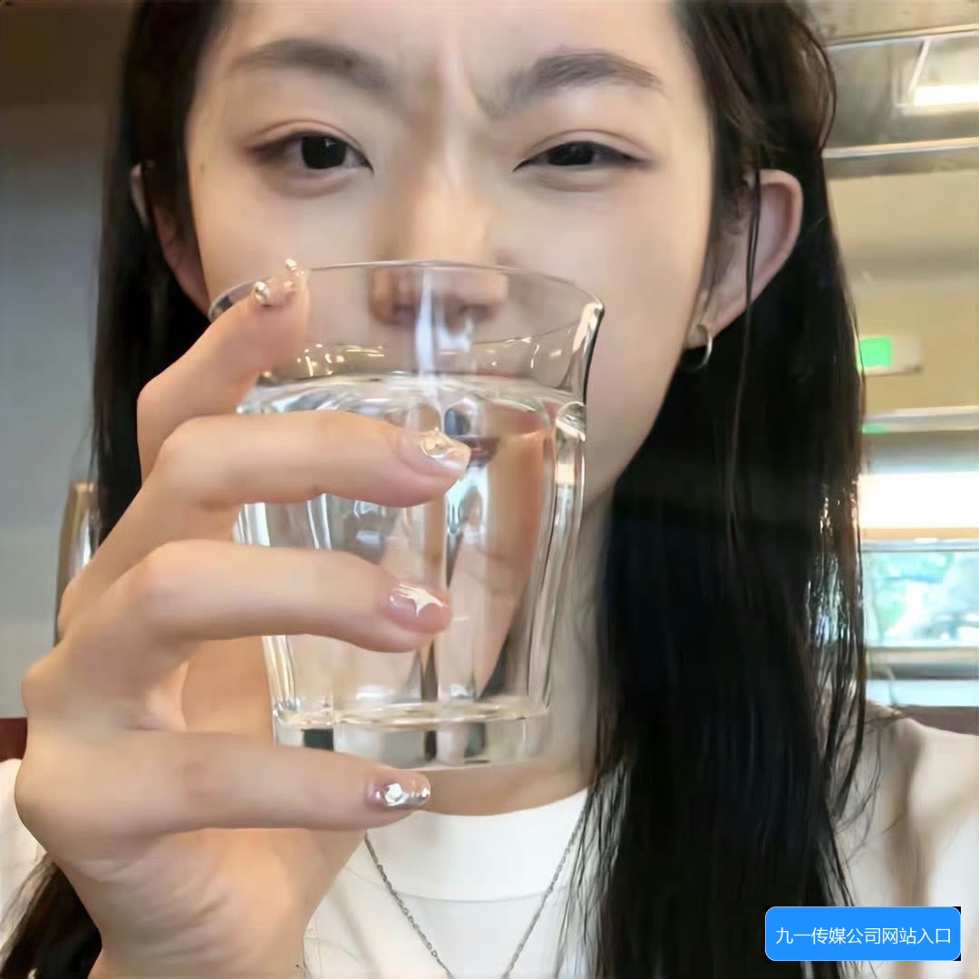 九一传媒网站入口界面