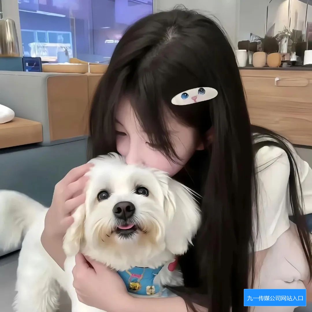 九一传媒MV有哪些特色内容以及欣赏建议