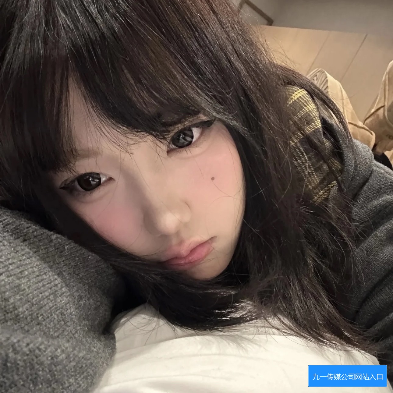 九一传媒公司制作网站入口有哪些功能和使用方法